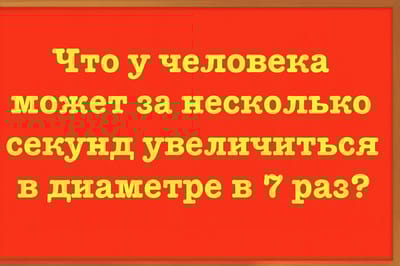 Загадка для тех, кто любит думать: что у человека за секунды увеличивается в 7 раз?