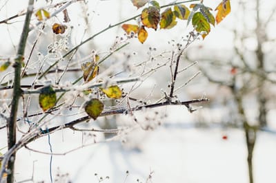 Ждем снега: о погоде на Гродненщине 12-14 октября