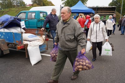 Жители Слонима запаслись овощами на зиму на второй осенней ярмарке