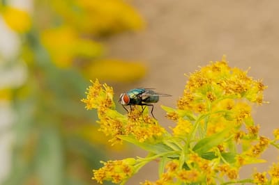 Зонтики отдыхают. О погоде на Гродненщине 12-14 августа