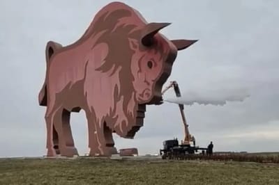 Зубр на трассе Минск – Брест задышал паром