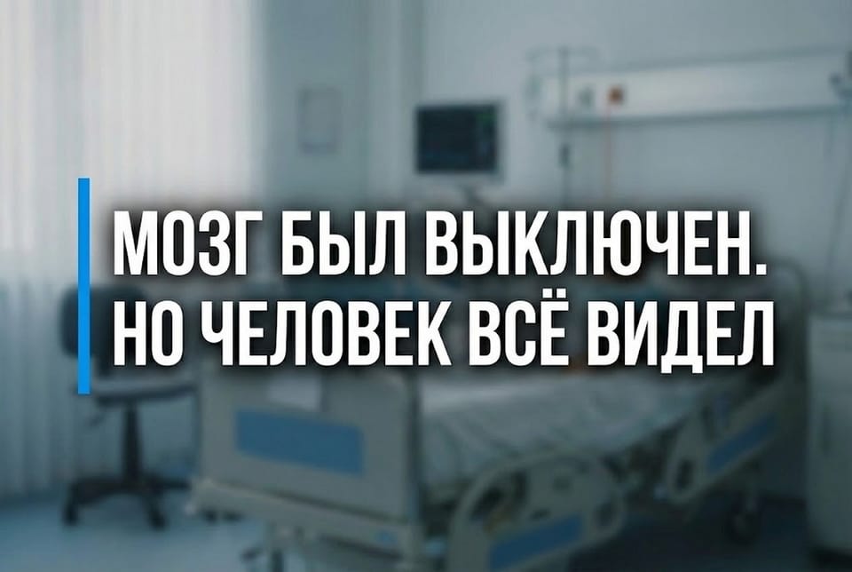 Мозг