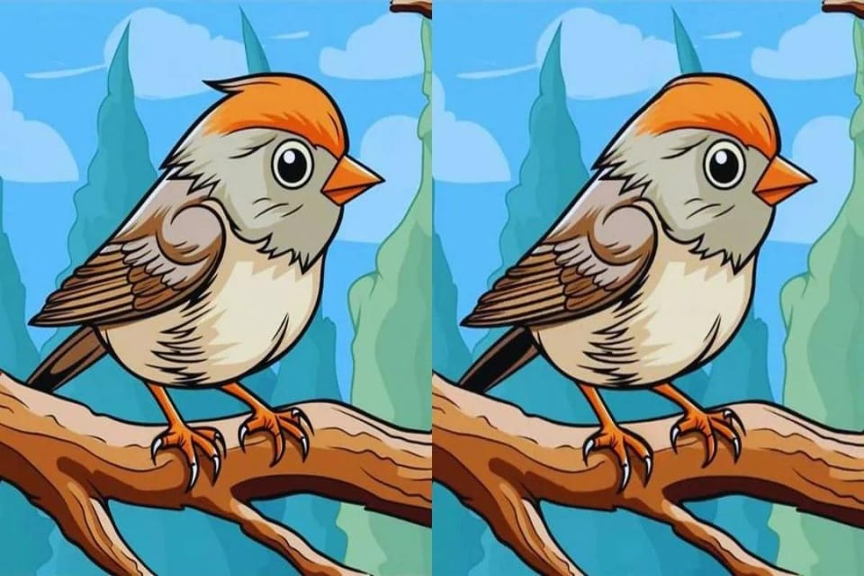 Отличия на картинке