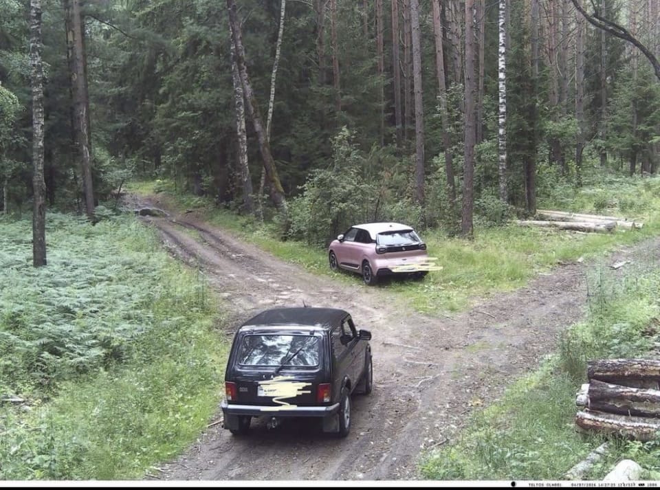фотоловушка