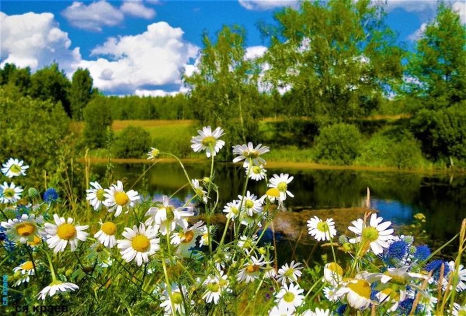 Что категорически нельзя делать 2 июня — народные приметы и запреты