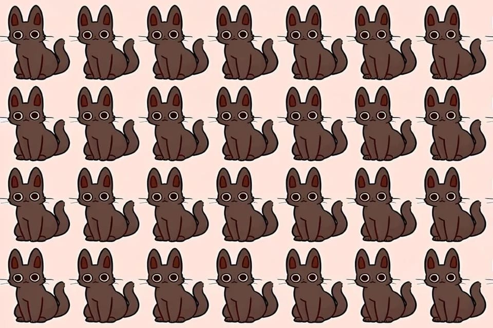 Тест на IQ: найдите кота, который отличается от других, за 15 секунд