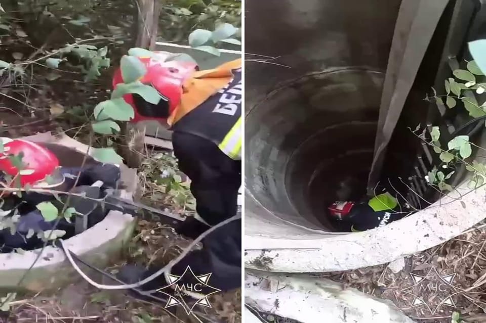 В Ивановском районе спасатели МЧС вытащили овцу из колодца