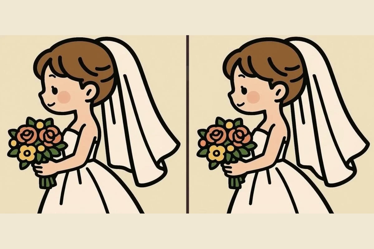 Если заметите 3 отличия на картинке невесты — у вас гениальная наблюдательность