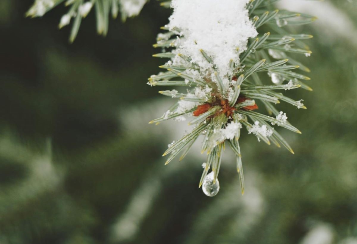 Погода резко изменится: прогноз по Гродненской области на 2-4 января 