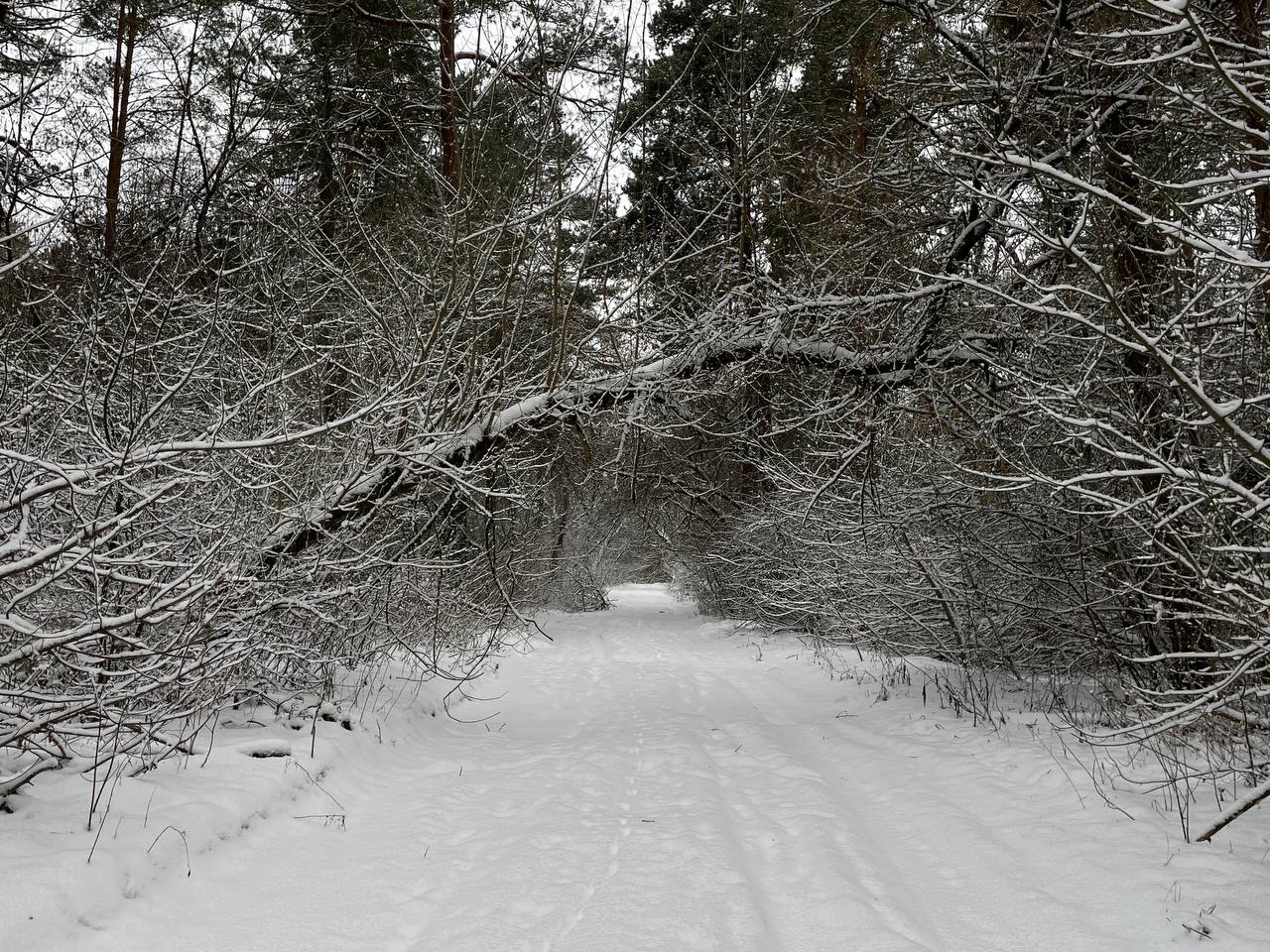 Эта старинная примета 3 января вернее синоптиков расскажет, каким будет лето