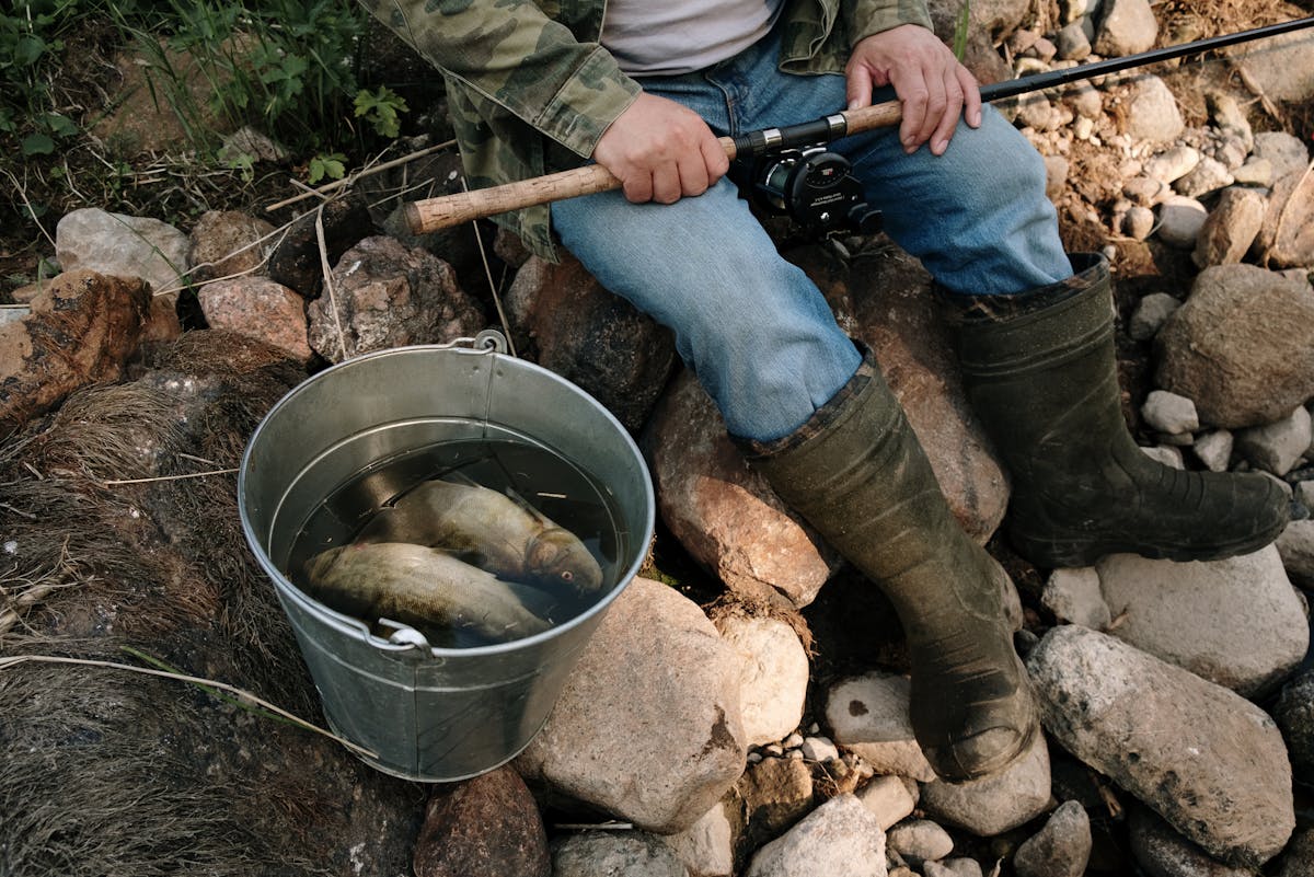 Отмена экран-телевизоров, введение нормы вылова в экземплярах и рыболовного билета: обсуждают проект указа по вопросам рыболовства