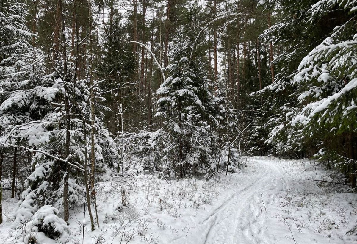 Погода изменится: прогноз на 8-10 января по Гродненской области