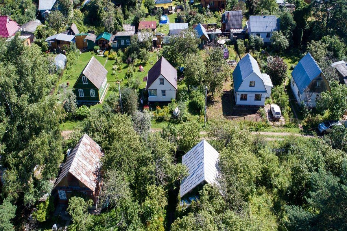 95% дач внесены в кадастр: что изменится для владельцев участков