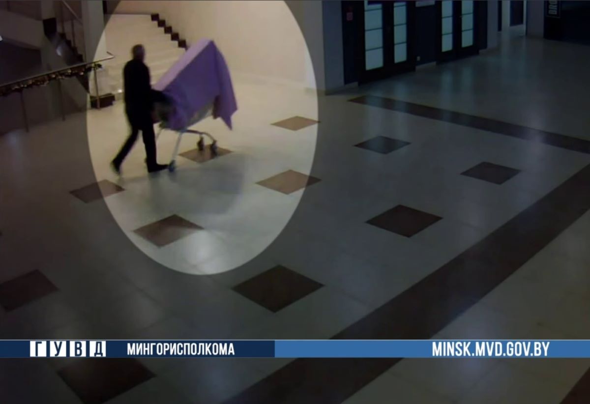 Похитителя новогодних ёлок задержали в Минске