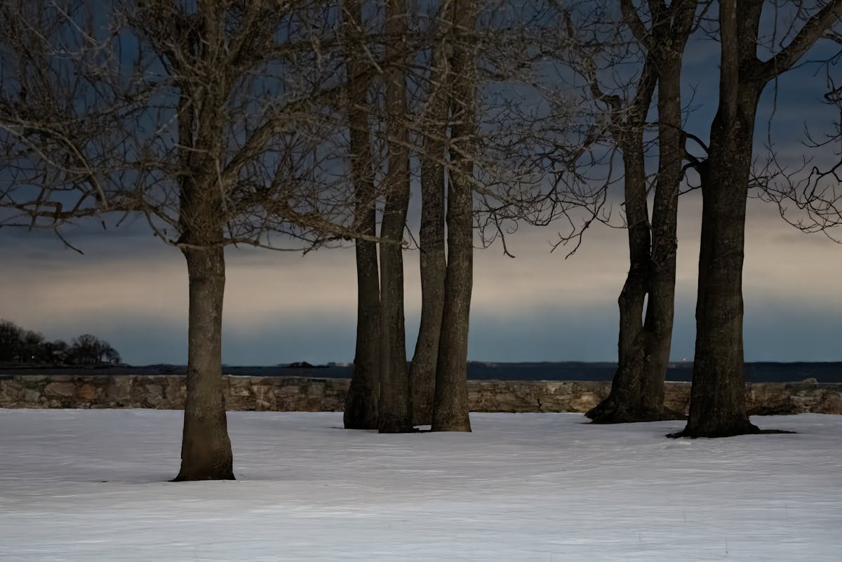 Ждём крещенских холодов: о погоде в Гродненской области 9-11 января