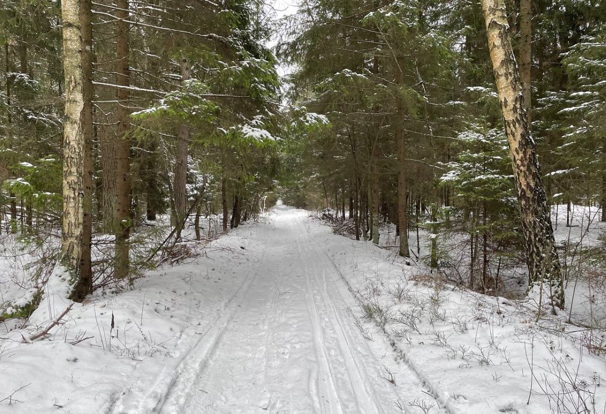 Идет арктический холод: о погоде на Гродненщине 11-13 января 
