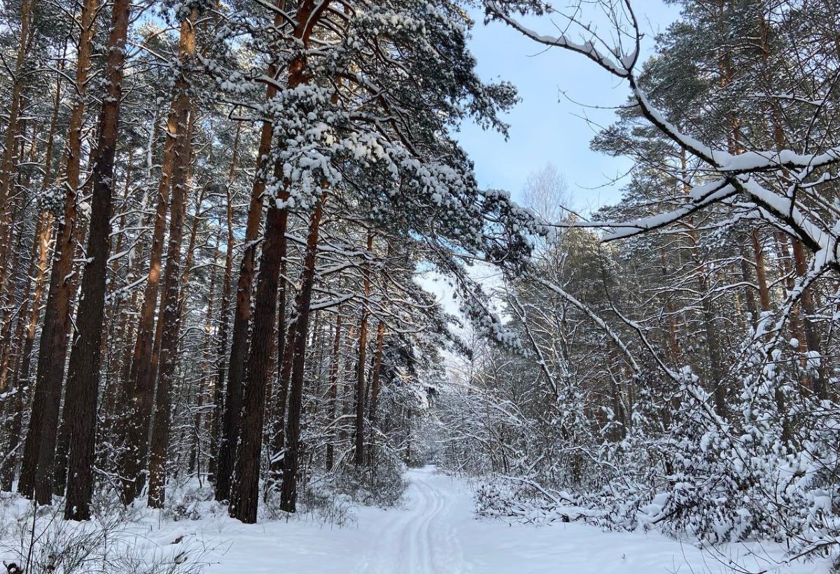 Когда на Гродненщине спадут морозы, рассказали синоптики 