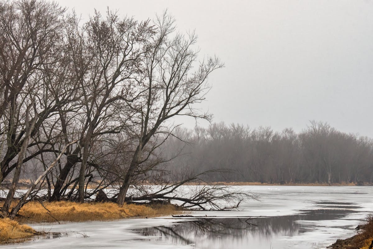 Декабрь 2025-го на Гродненщине побил рекорды тепла и сюрпризов природы