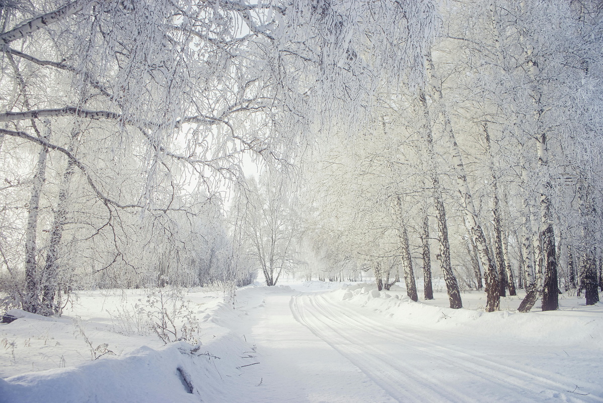 Стало известно, в каких городах Беларуси самый чистый воздух