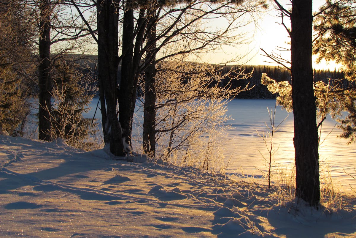 Морозы отступать не собираются: о погоде на Гродненщине 16-18 января 