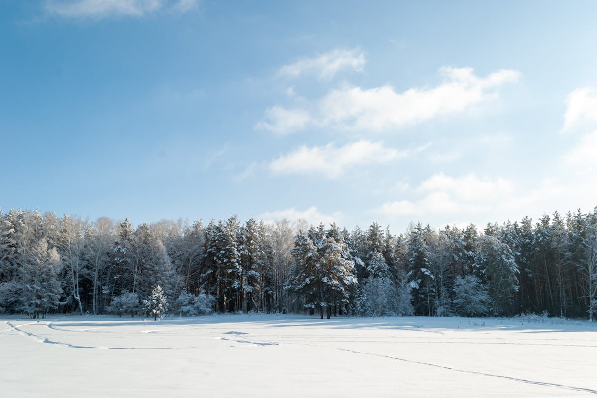 Почему в Беларуси настала суровая зима и какой погоды ждать дальше: объясняет ученый