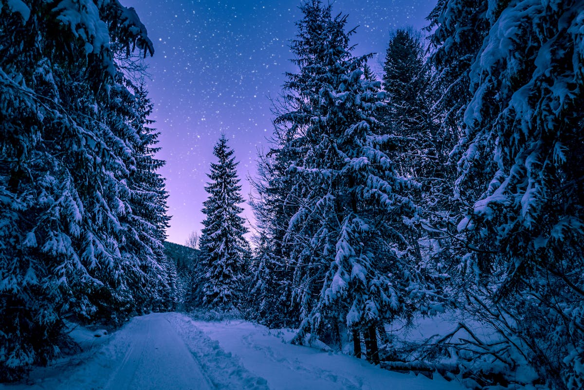 Беларусь встретила Крещение рекордными морозами за 20 лет: где было холоднее всего?