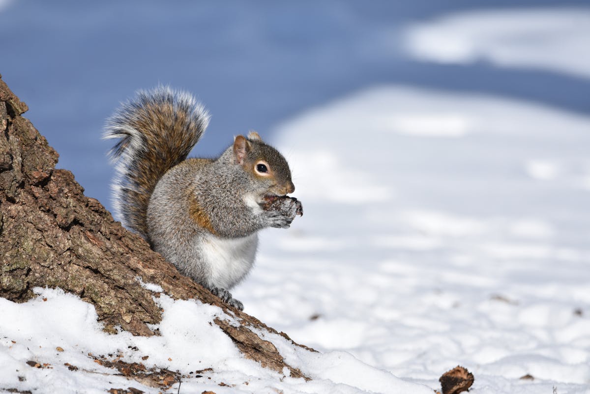 Мороз отпустит хватку? О погоде на Гродненщине 21-23 января 