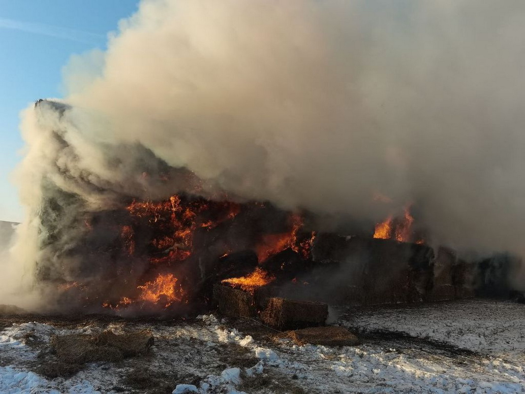 В поле под Гродно сгорело 240 тонн сена