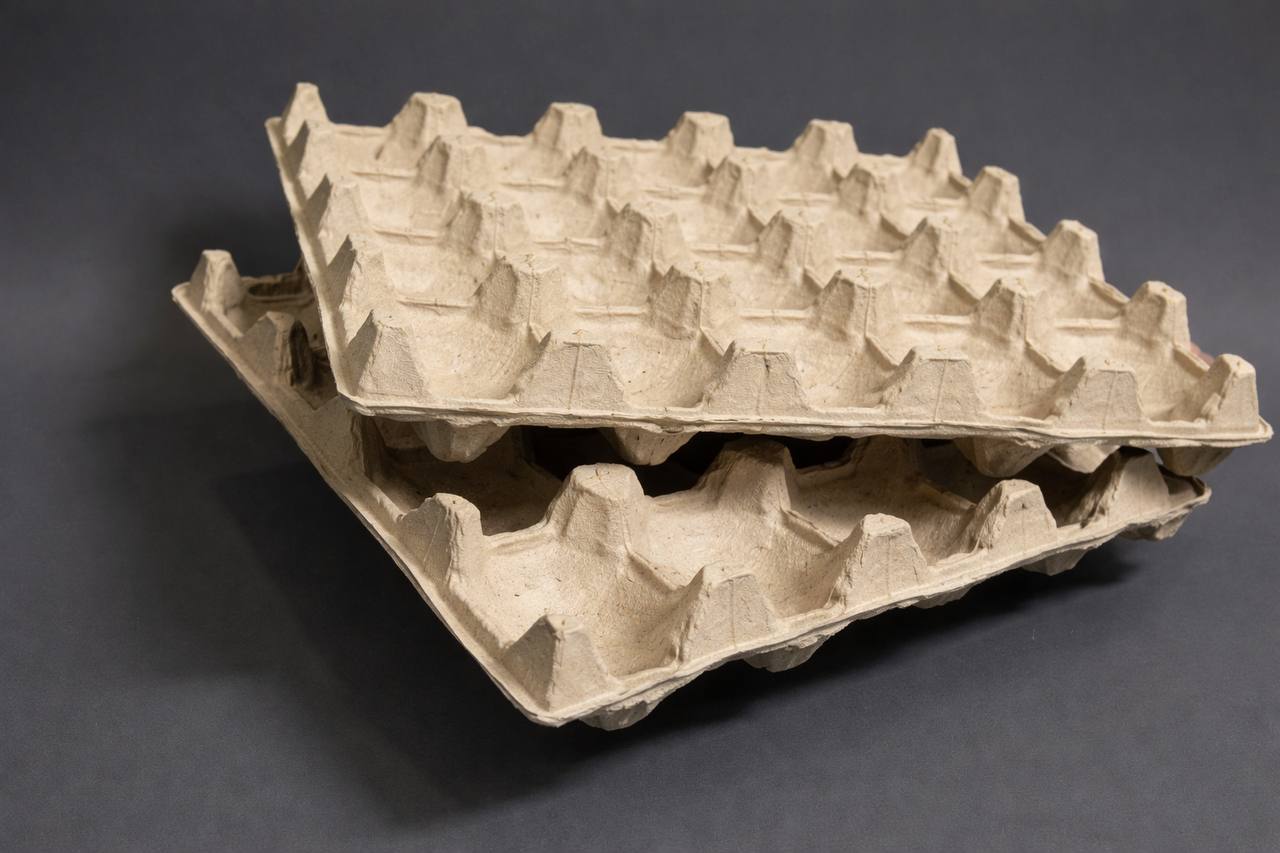 Не выбрасывайте яичные лотки: простая идея для поддержания порядка в доме