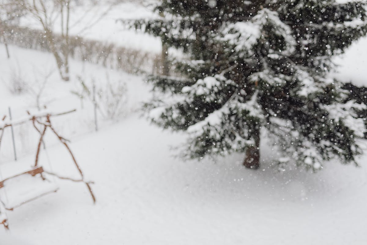 Снег и метель: о погоде на Гродненщине 23-25 января