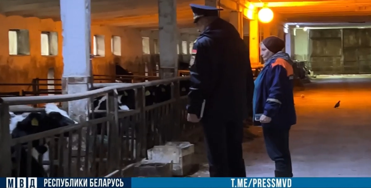 Расследование 