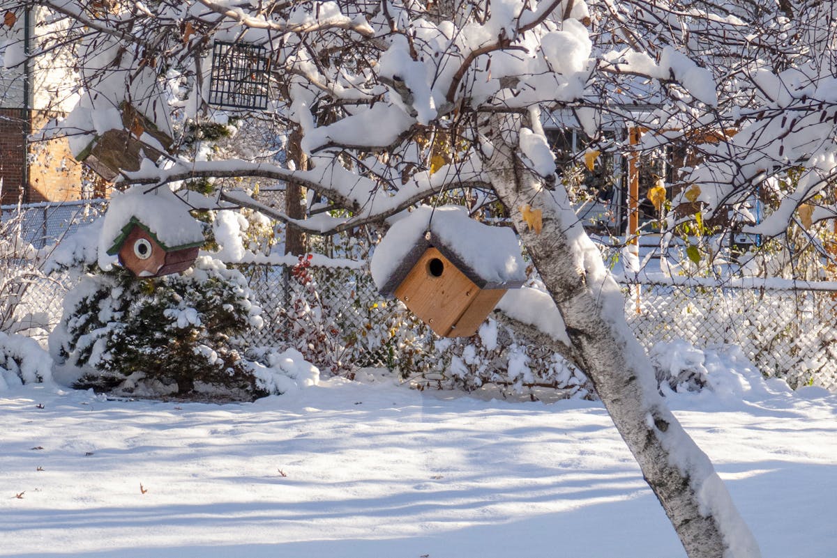 После крещенских морозов погода ухудшится: идет оттепель