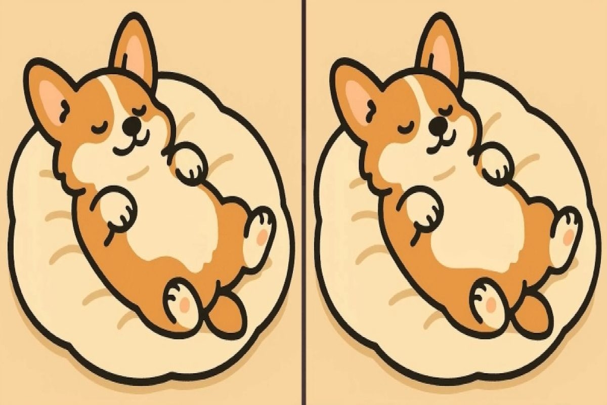 Если найдёте на картинке все три отличия, у вас феноменальная внимательность