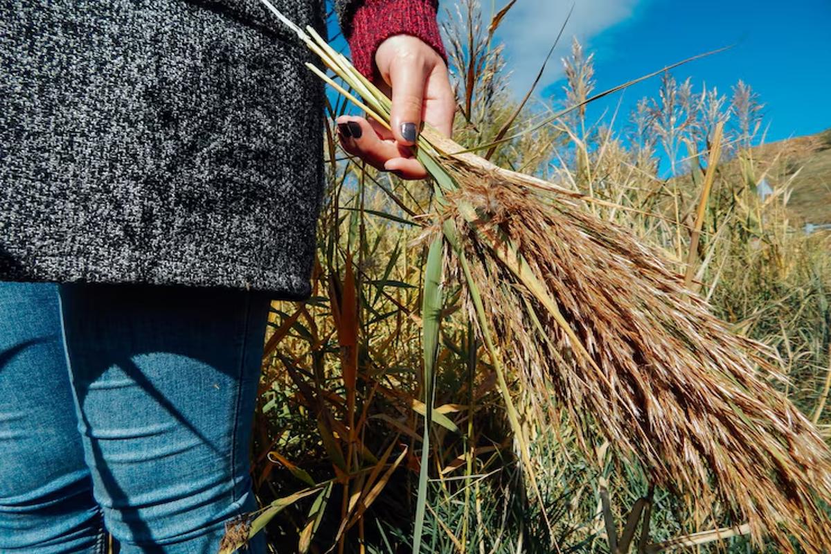 Какие выплаты положены при переселении на работу в сельскую местность