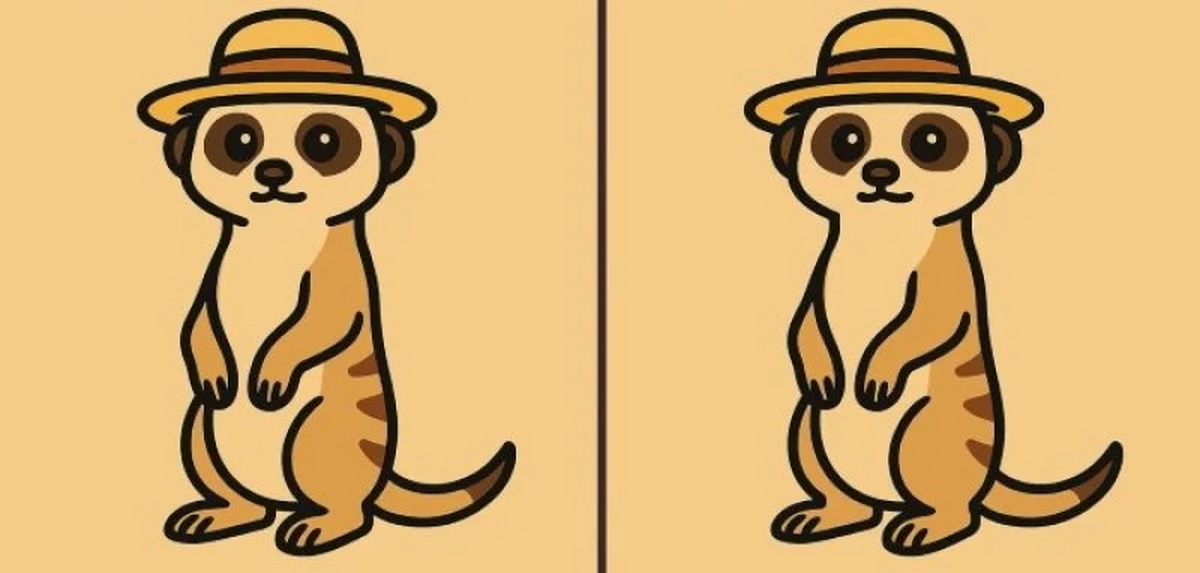 Лишь самые внимательные заметят 3 отличия у суриката