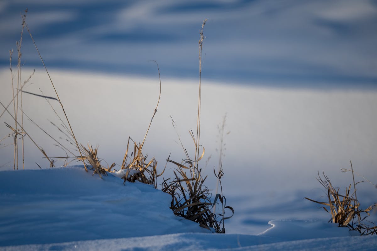 Морозы ударят с небывалой силой: о погоде на Гродненщине 30 января – 1 февраля