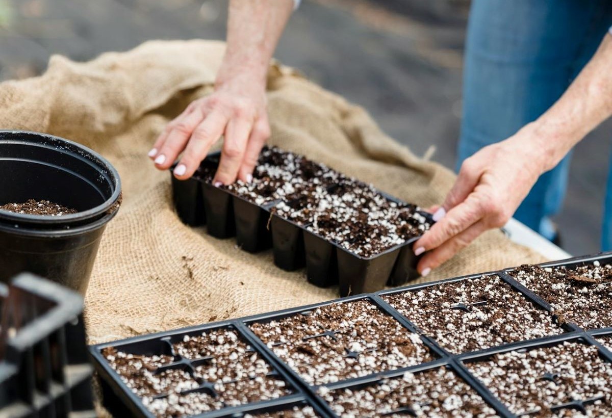 Приближаются 3 запретных дня для огородника: не берите в руки семена и ничего не сейте