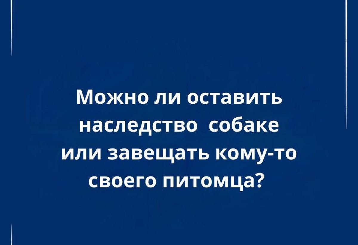Животное в завещании: как позаботиться о питомце на случай своей смерти