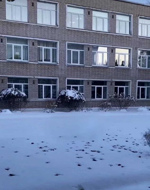 Сотни летучих мышей проникли в школьный кабинет — потребовалась помощь спасателей