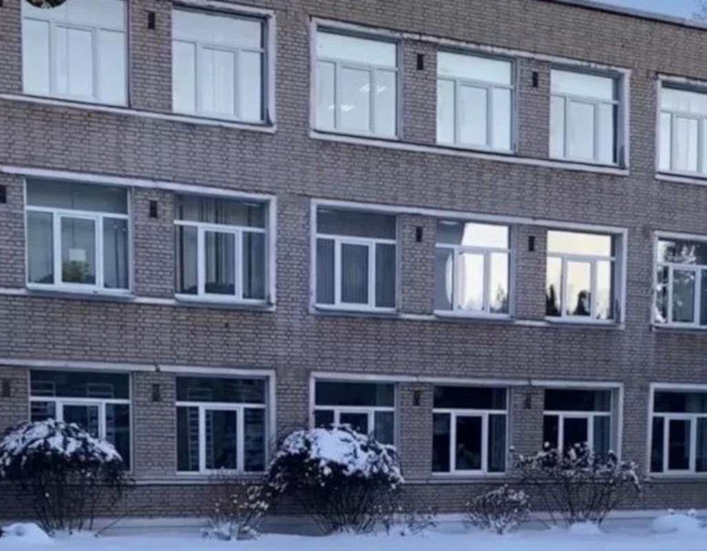 Сотни летучих мышей проникли в школьный кабинет — потребовалась помощь спасателей