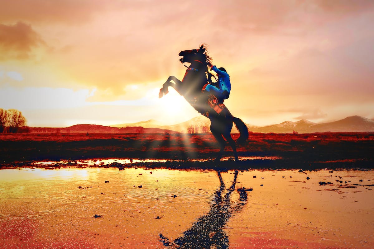 Китайский гороскоп на 2026 год: 4 знака зодиака будут самыми удачливыми в Год Лошади