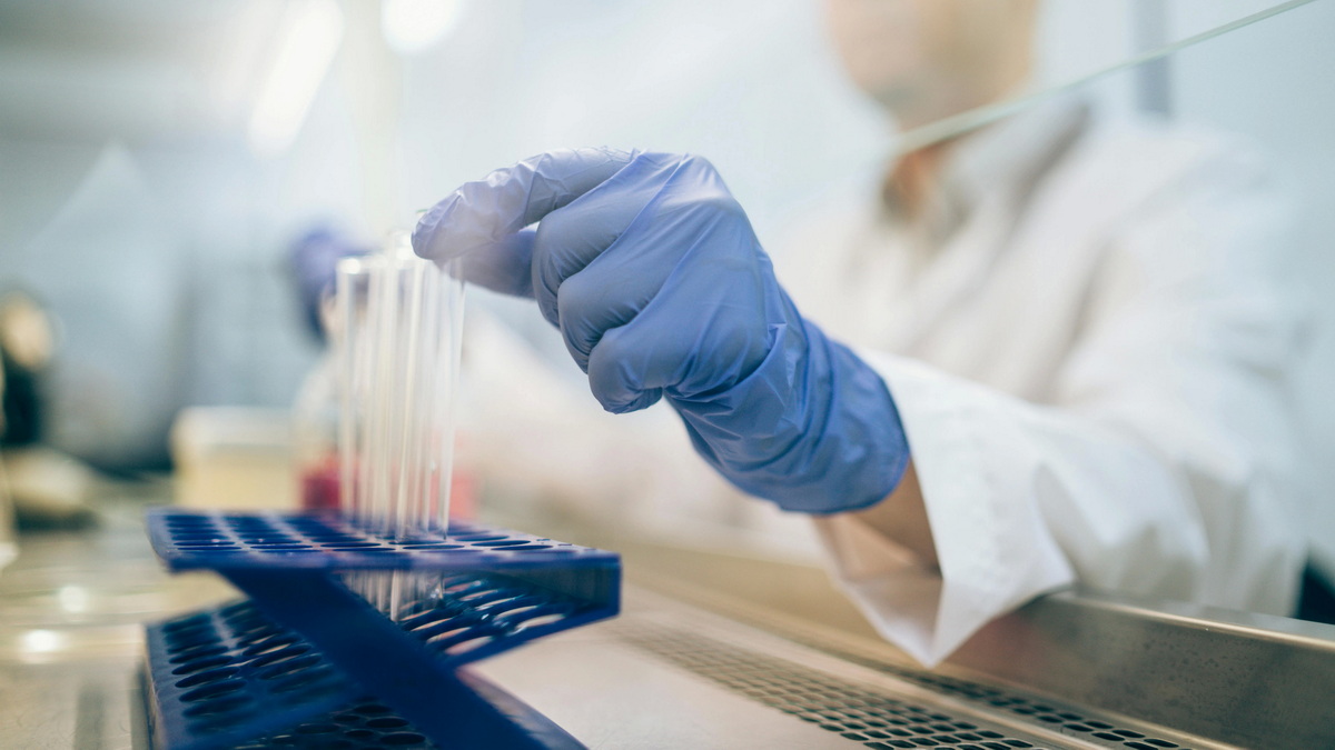 Рак без симптомов: какие анализы помогают выявить болезнь вовремя