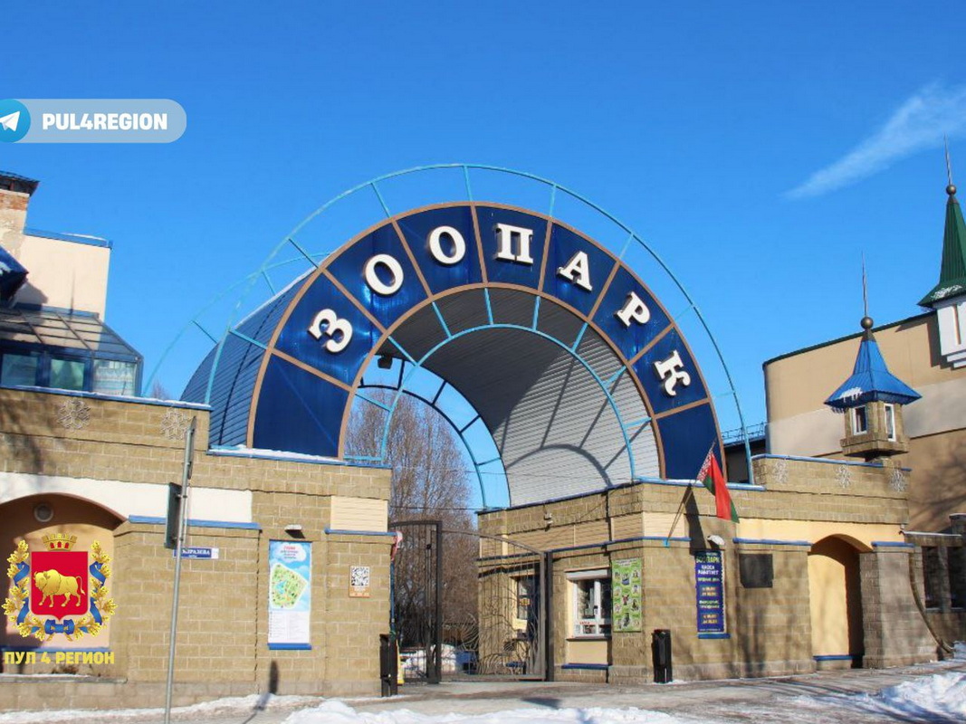 19 тонн мяса, тысячи яиц и киношные роли: чем живёт Гродненский зоопарк сегодня