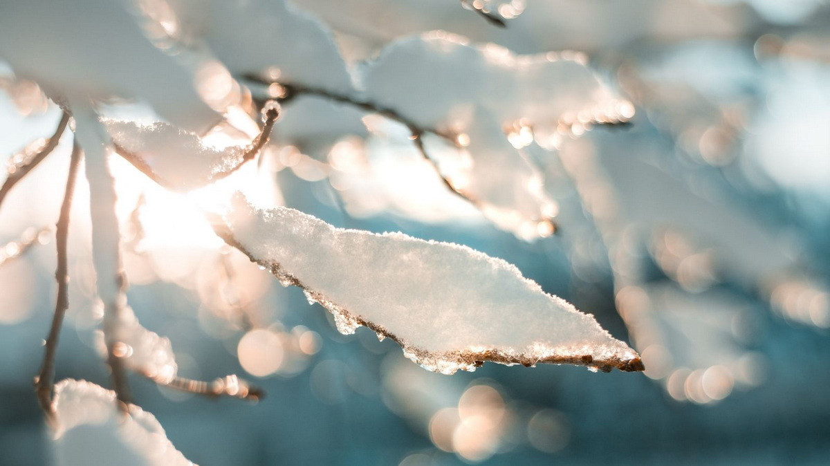 13 февраля в Гродненской области ожидается дождь, мокрый снег и гололедица