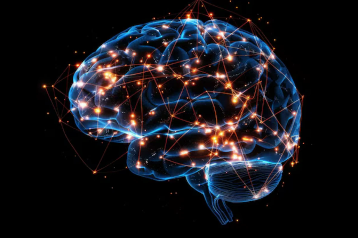  Учёные обнаружили белок, способный «омолаживать» стареющие клетки мозга