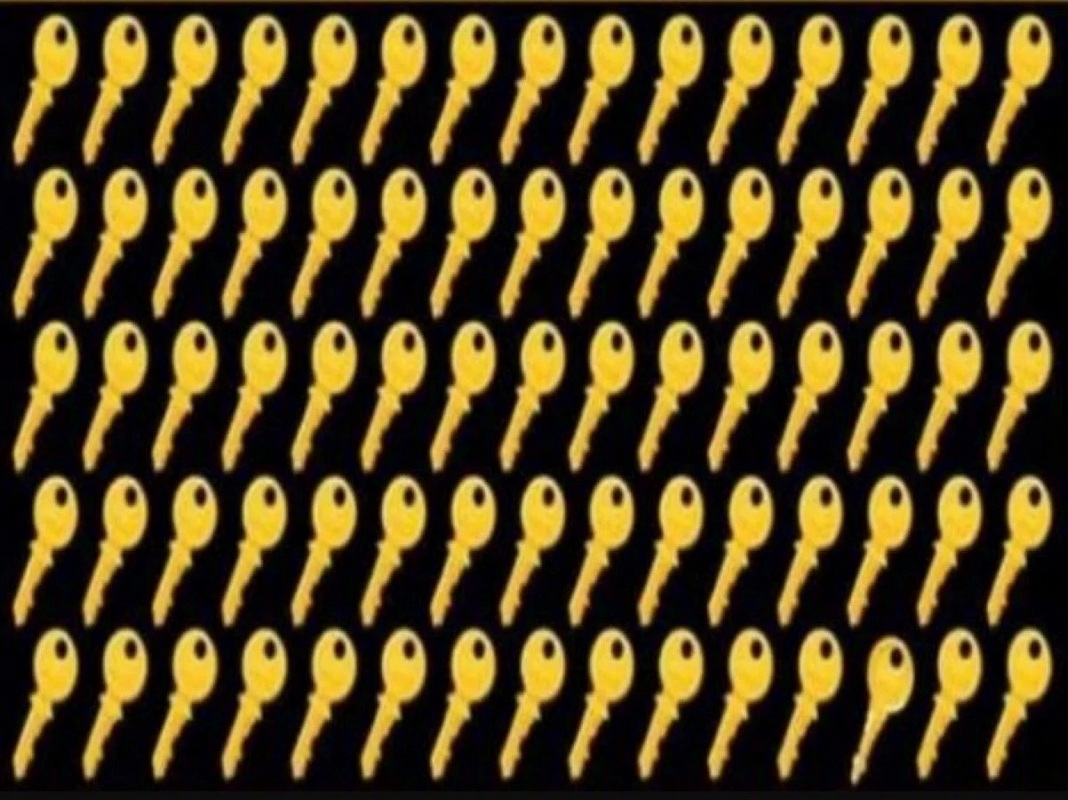 Если нашли спрятанный ключ за 11 секунд — у вас орлиное зрение