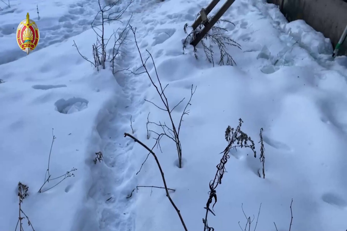 Вооружились и приехали на каршеринге: детали нападения на дом под Смолевичами