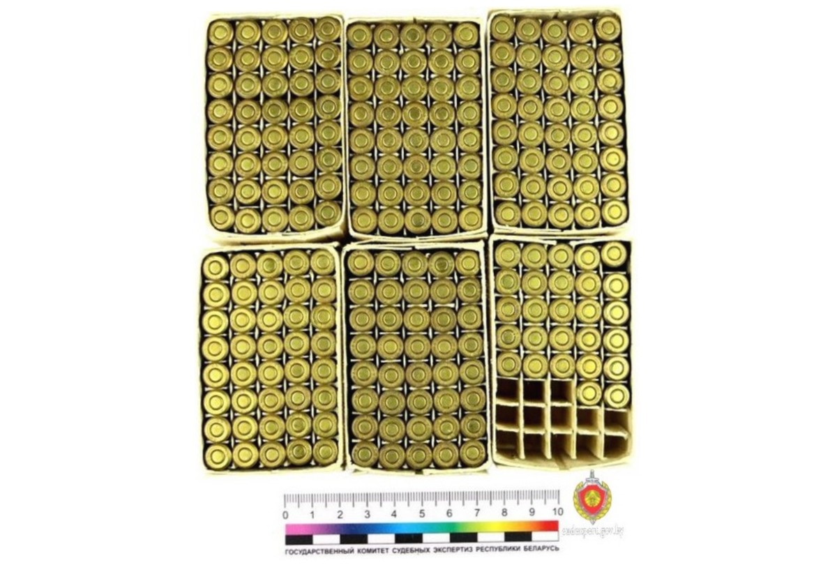 При уборке пенсионерка обнаружила целый склад патронов – опасная находка в Мозырском районе 