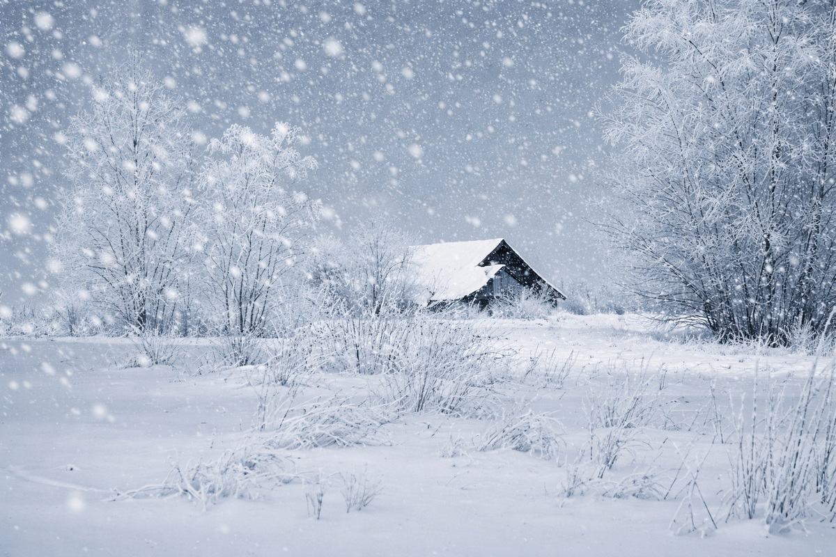 Эта примета 20 февраля указывала на тёплое лето