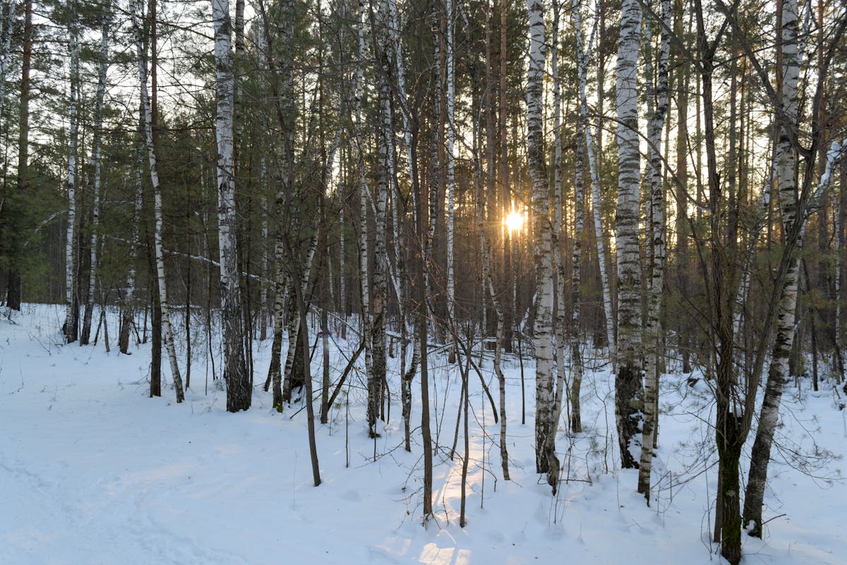 От -16 до +4 градусов: прогноз погоды по Гродненской области на 24–26 февраля